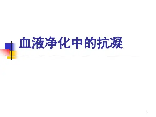 血液净化中的抗凝PPT课件