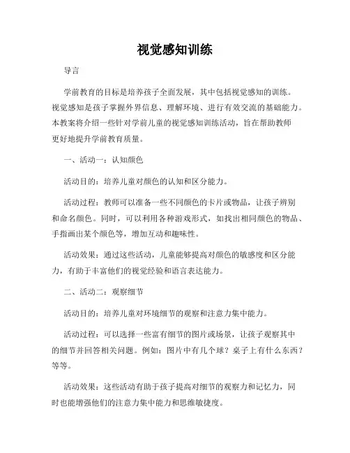 视觉感知训练
