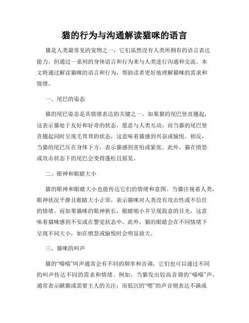 猫的行为与沟通解读猫咪的语言