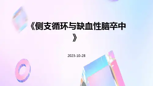 侧支循环与缺血性脑卒中
