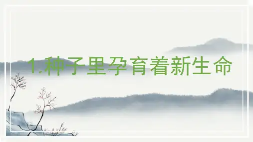 最新教科版四年级科学下册《种子里孕育着新生命》精品教学课件