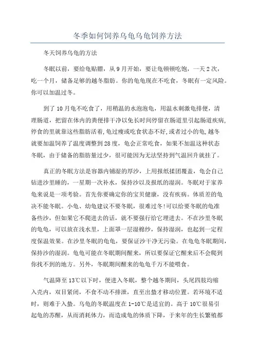 冬季如何饲养乌龟乌龟饲养方法