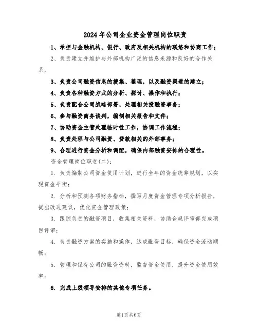 2024年公司企业资金管理岗位职责（二篇）