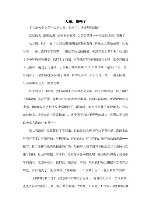 大海,我来了_小学作文_1