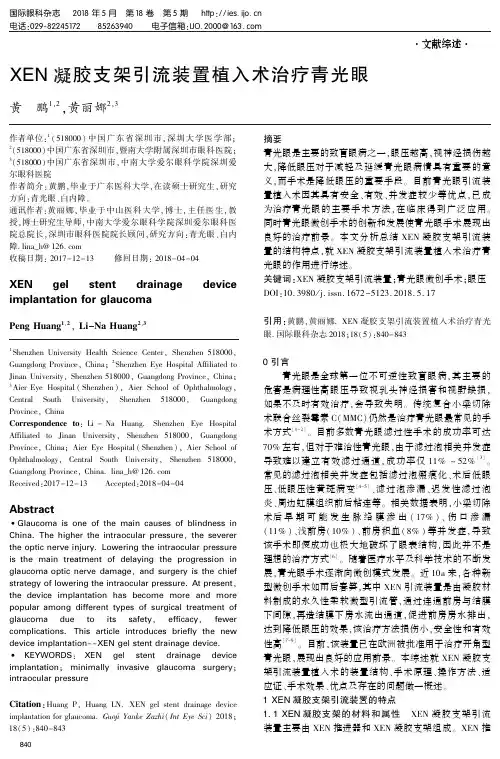 XEN凝胶支架引流装置植入术治疗青光眼-眼科杂志