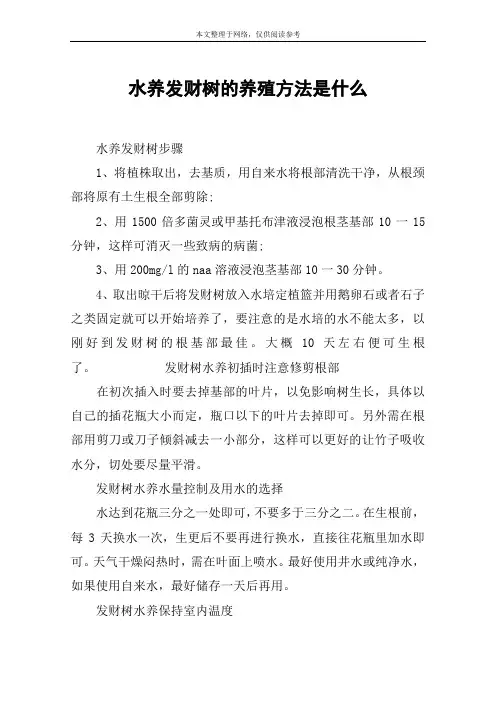 水养发财树的养殖方法是什么