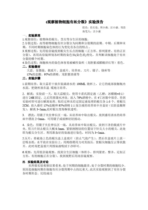 《观察植物细胞有丝分裂》实验报告