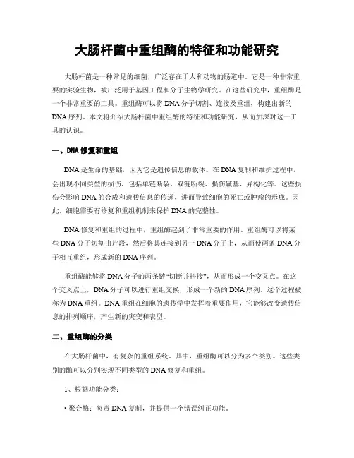 大肠杆菌中重组酶的特征和功能研究