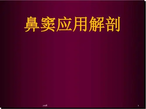 鼻窦应有解剖PPT参考课件