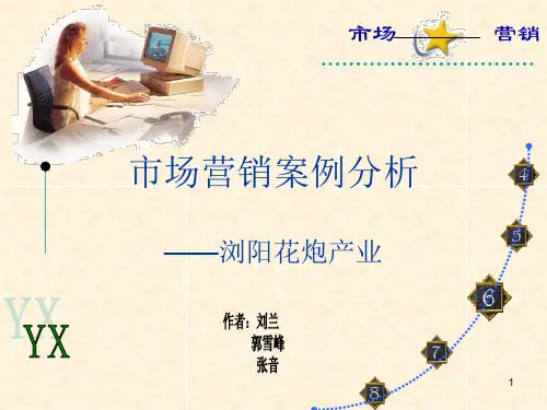 经典营销案例分析PPT课件
