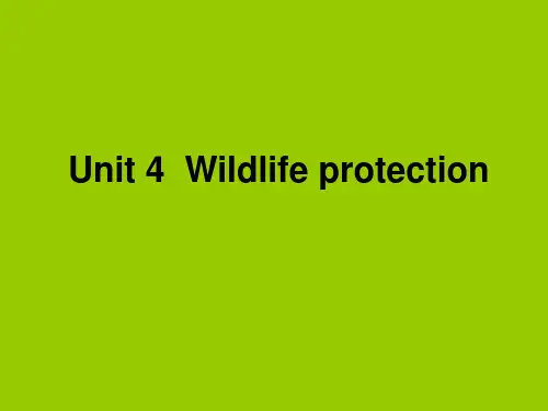 人教版高中英语 必修二 Unit4 《Wildlife  protection  ---Warmin