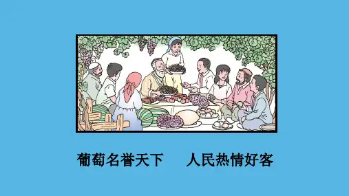 二年级上册语文课件  -  11   葡萄沟(共47张PPT)  人教部编版