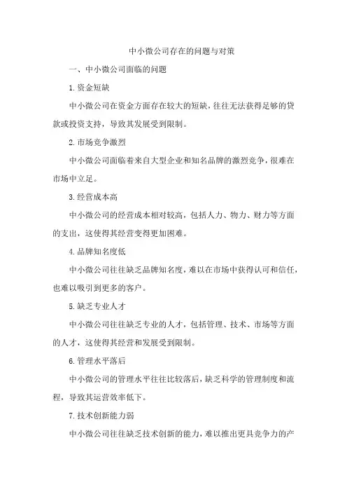 中小微公司存在的问题与对策