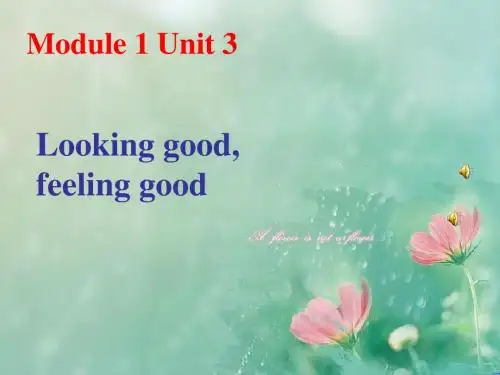 2018-2019江苏省启东中学译林牛津版 高一英语必修一课件 Module1 Unit3 Looking goodfeeling good