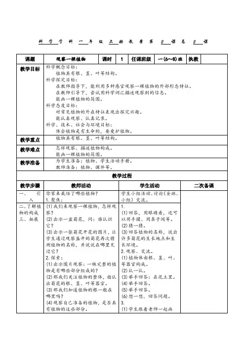 教科版一年级科学上册《观察一棵植物》教案