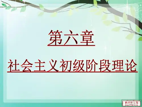 毛概 第六章第一节分析
