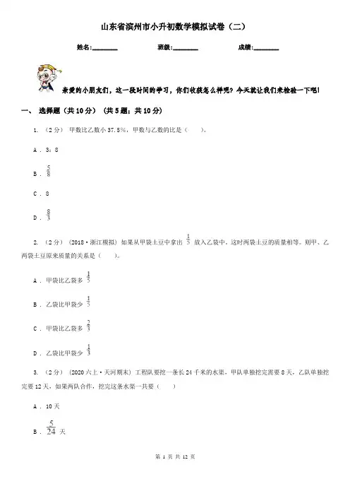 山东省滨州市小升初数学模拟试卷(二)