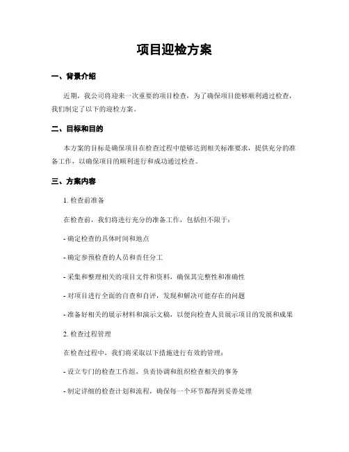 项目迎检方案