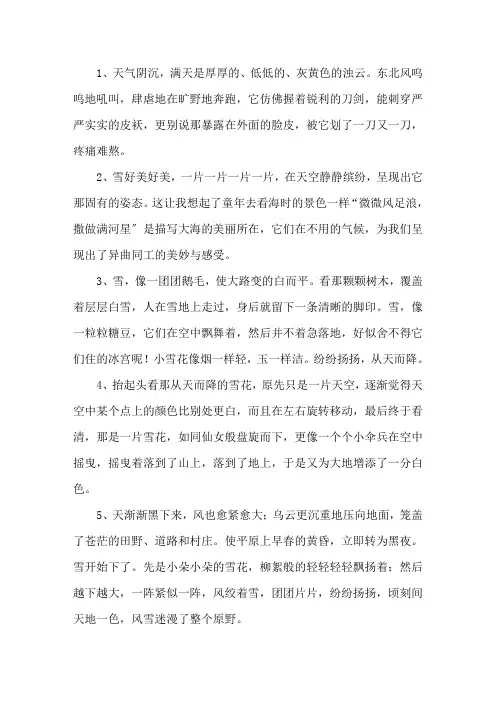 描写风雪很大的段落精选