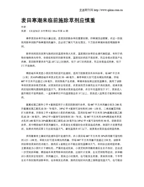 麦田寒潮来临前施除草剂应慎重