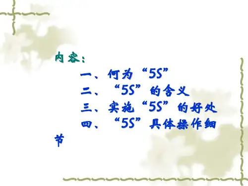 办公室5S管理执行标准新精编版