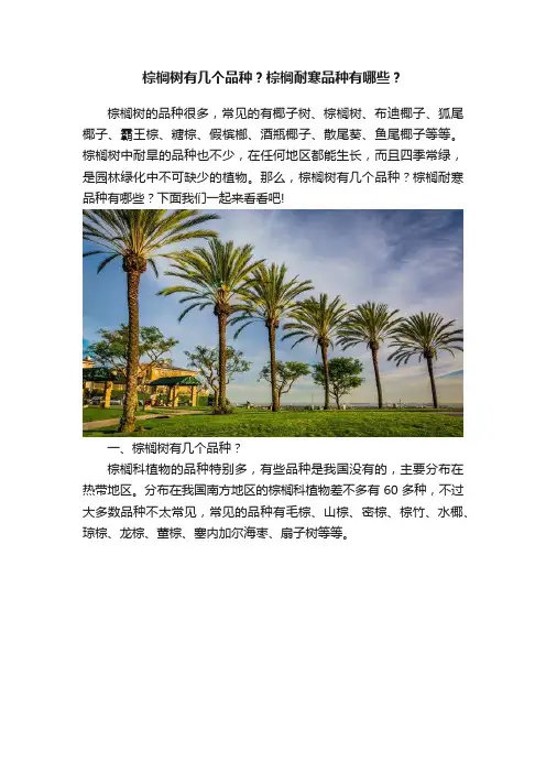 棕榈树有几个品种？棕榈耐寒品种有哪些？