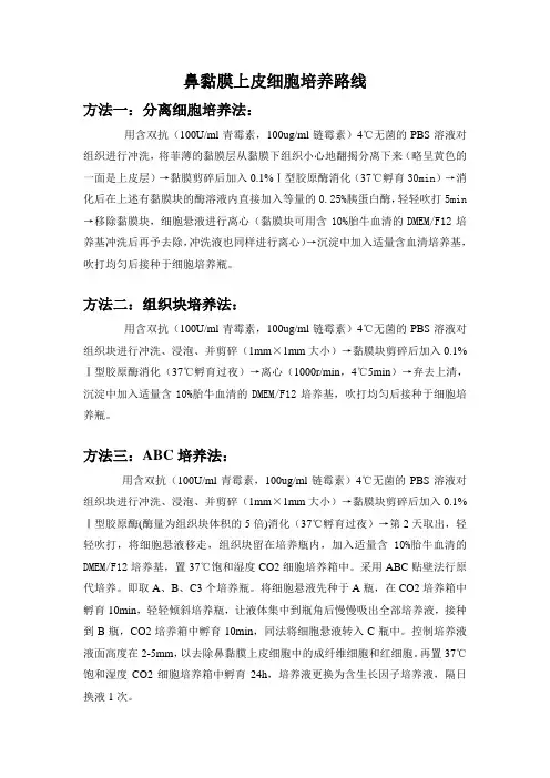 鼻黏膜上皮细胞培养路线