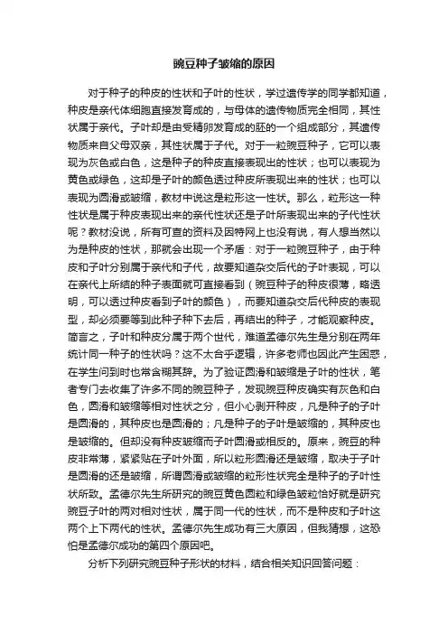 豌豆种子皱缩的原因