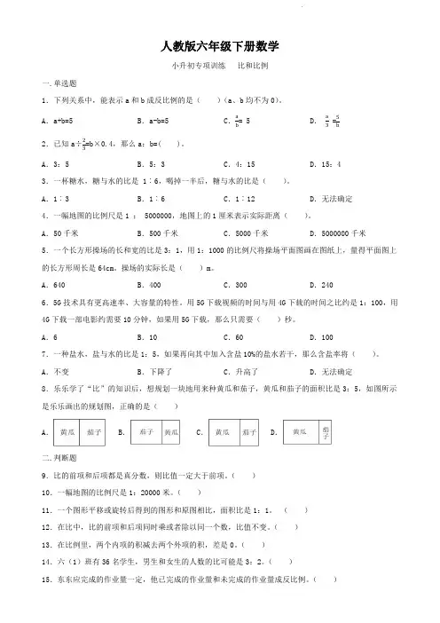 人教版六年级下册数学   小升初专项训练   比和比例