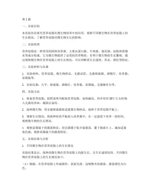 实验报告营养琼脂结果(3篇)
