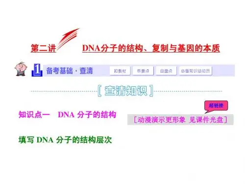 2015届《三维设计》高考生物一轮精品课件：2.2.2DNA分子的结构、复制与基因的本质