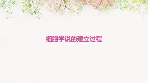 细胞学说的建立过程