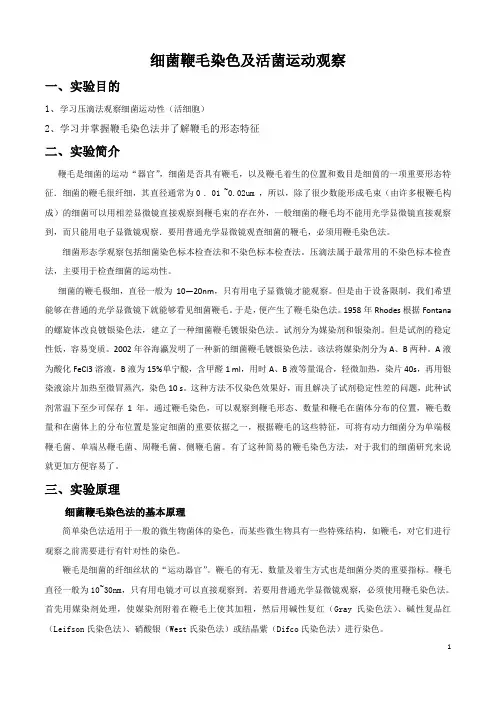 细菌鞭毛染色及活菌运动观察