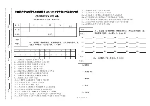 《断层解剖学》结业考试试卷A