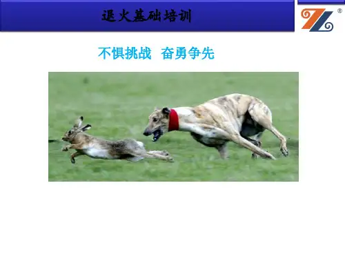 退火知识