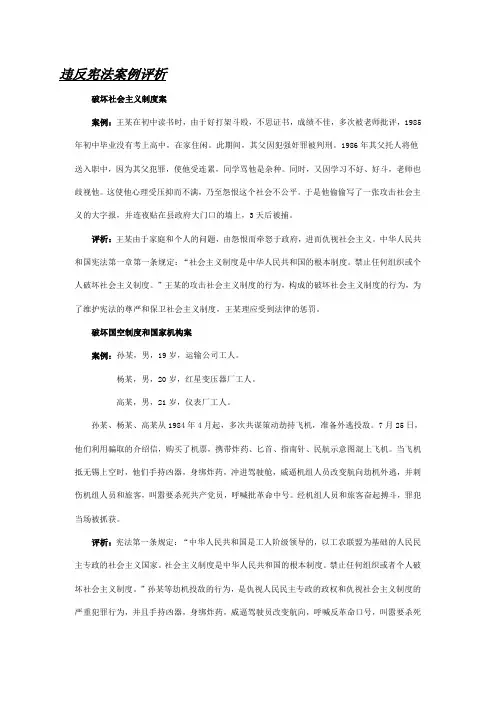 违反宪法案例评析
