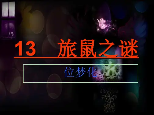 【优质】初中八年级语文下册《旅鼠之谜》 ppt教学课件