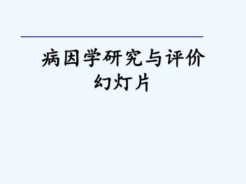 病因学研究与评价幻灯片