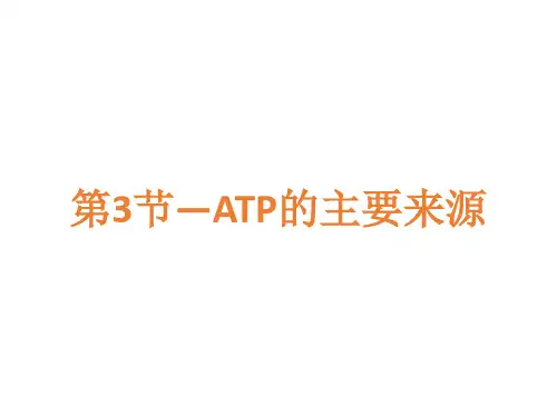 必修一第5章第3节细胞呼吸ppt课件