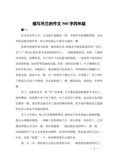 描写吊兰的作文500字四年级
