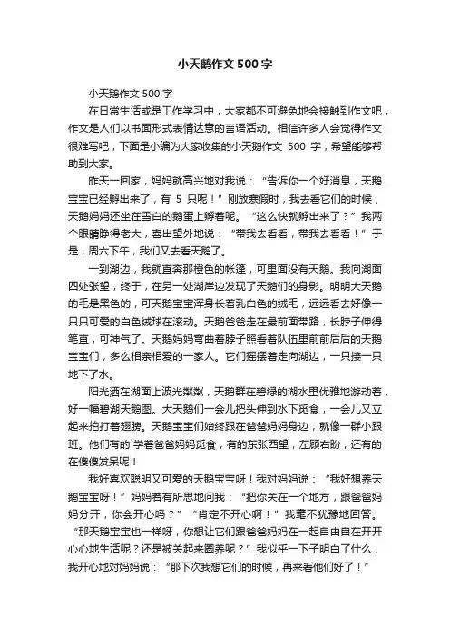 小天鹅作文500字