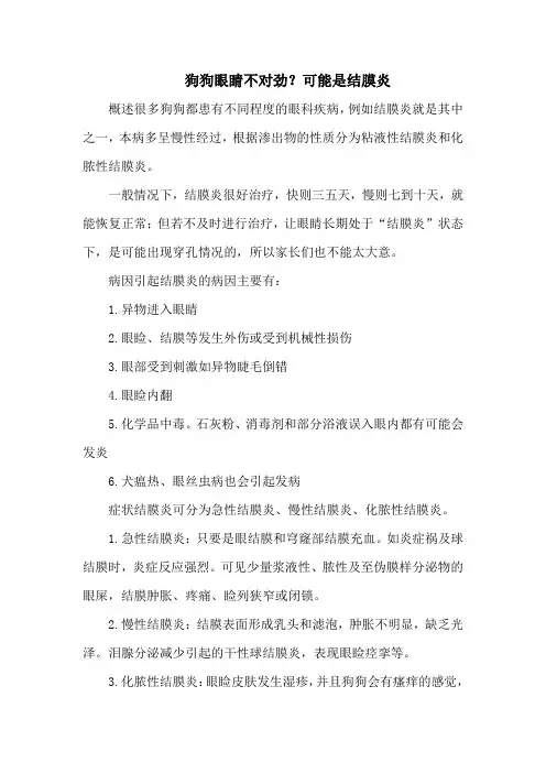 狗狗眼睛不对劲？可能是结膜炎