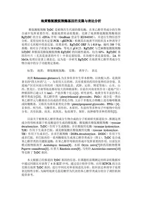 地黄酪氨酸脱羧酶基因的克隆与表达分析