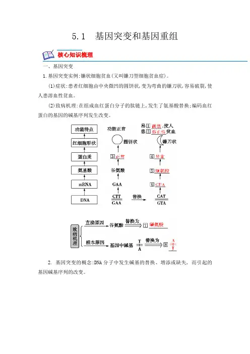 高中试卷-5.1 基因突变及其他变异(含答案)