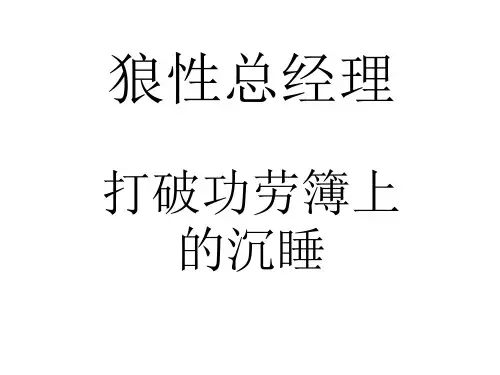 狼性总经理资料讲解