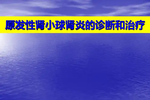 慢性肾炎PPT课件