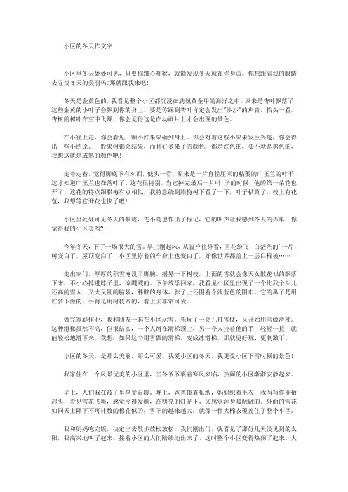 小区的冬天作文400字