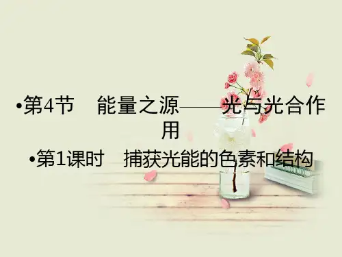 捕获光能的色素和结构PPT教学课件