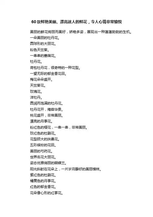 60款鲜艳美丽、漂亮迷人的鲜花，令人心情非常愉悦