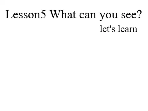 四年级上册英语课件-Lesson5 what canyou see∣科普版(三起)